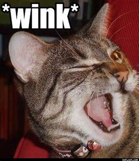 wink meme